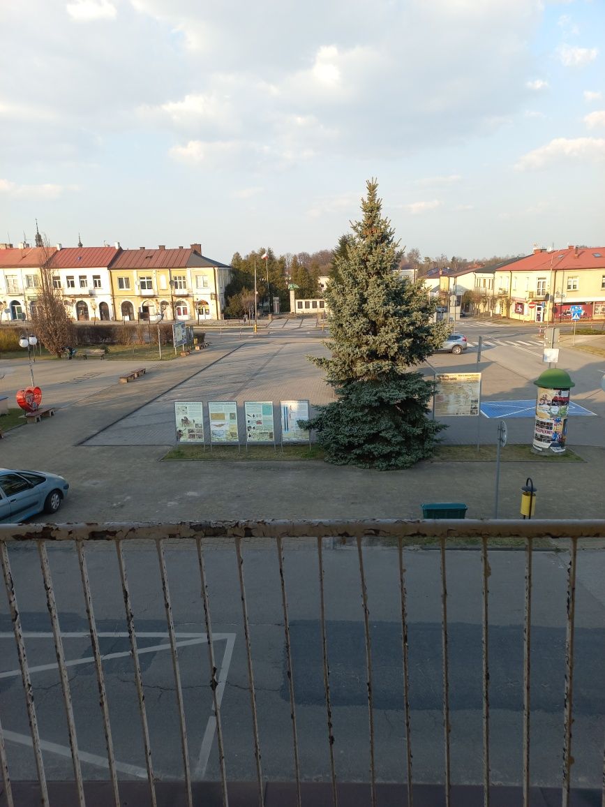 1/4 dom blizniak