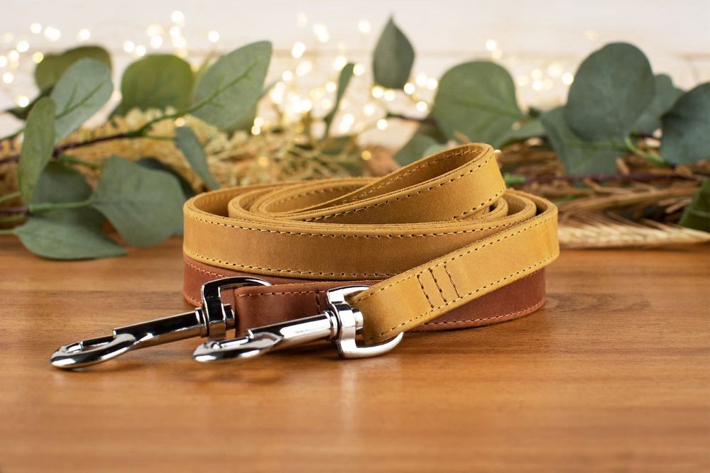 Поводок и Ошейник для Собак Кота Кошек ШкірянийCrazy Гравіювання Акція