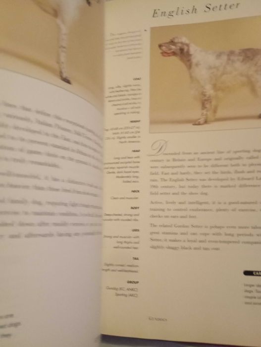 Livro Guia dos caes