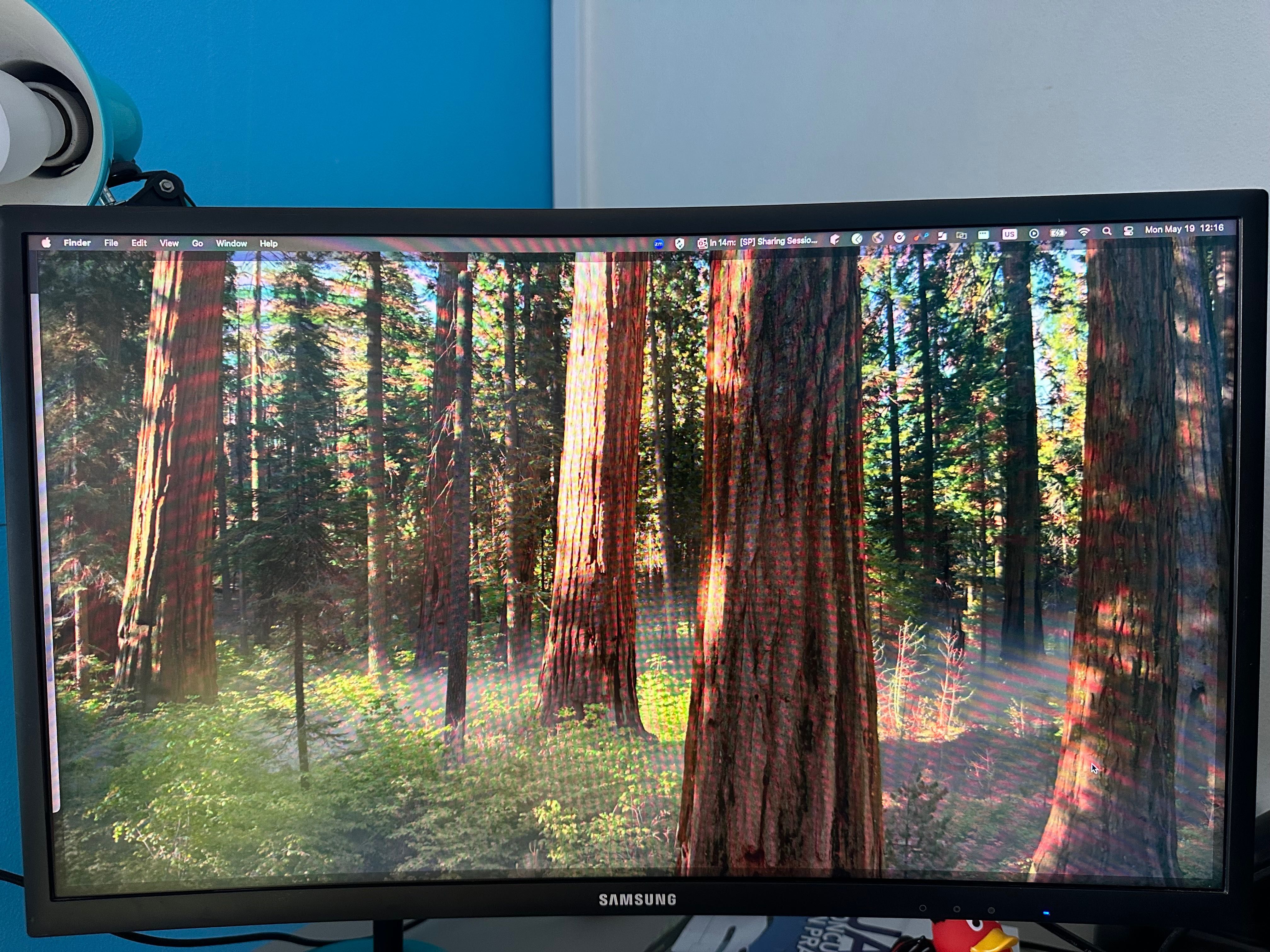 Monitor Samsung Gamer CFG73 24" FHD