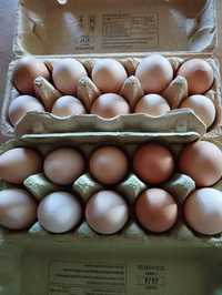 Jaja jaja wiejskie