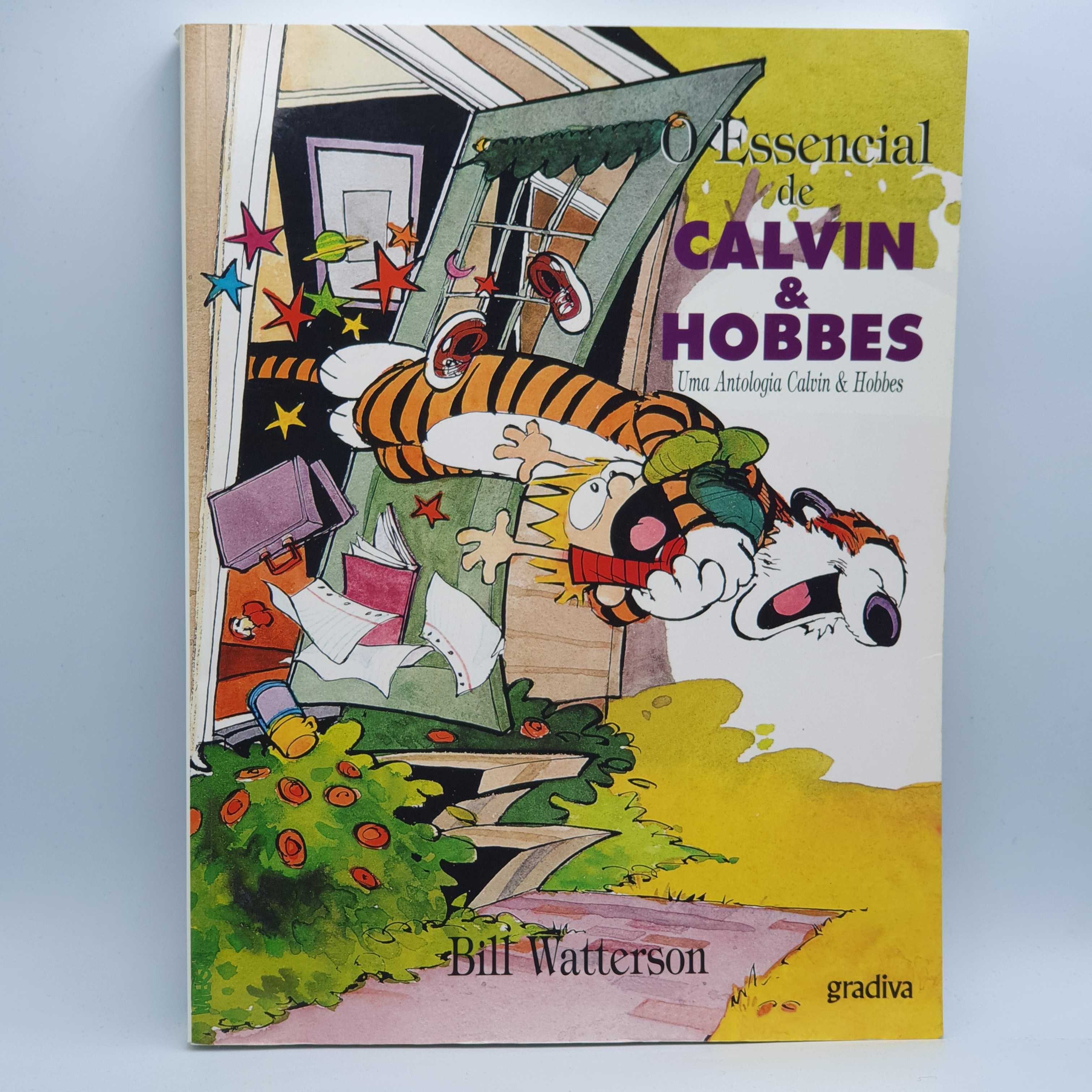Livro - Bill Watterson - O Essencial de Calvin e Hobbs - PINF-SITE