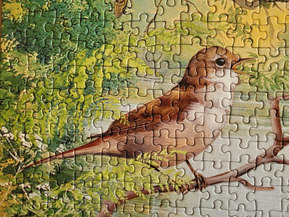 Otter House 1000, Nature Reserve nr 75805, zimorodek, kaczki, jezoro