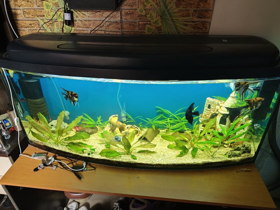 Продам аквариум на 200 лит.