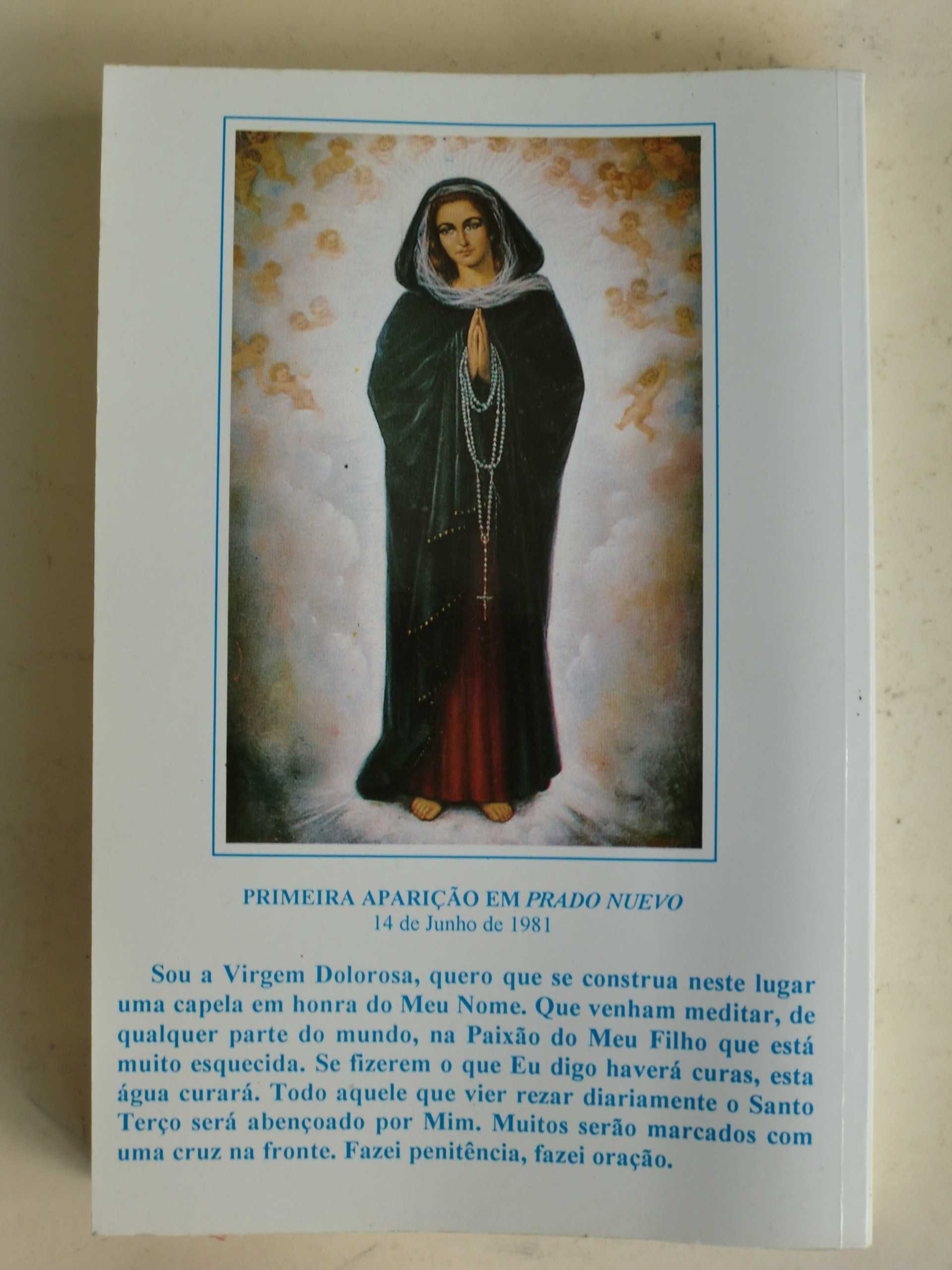 Virgem Dolorosa
Nossa Senhora fala-nos em El Escorial