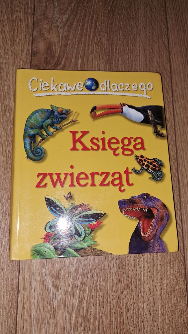 Dwie książki przyrodnicze dla dzieci Dinozaury. Księga zwierząt