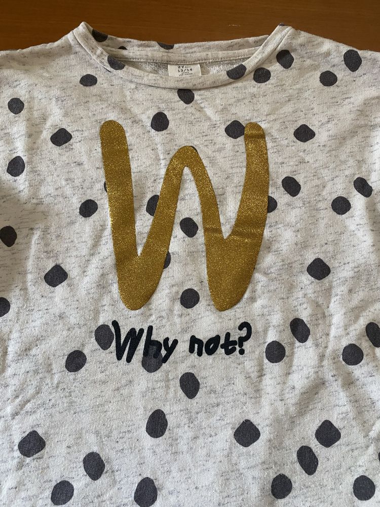 Sweatshirt cinza as bolinhas “why not?” Zippy 13/14 anos