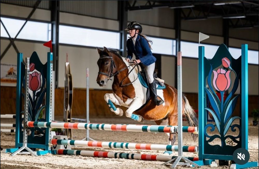 Kuc grupy C, 137 cm na sprzedaż