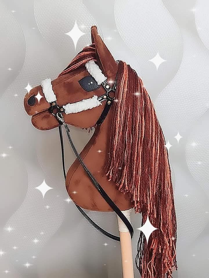 Hobby horse konik