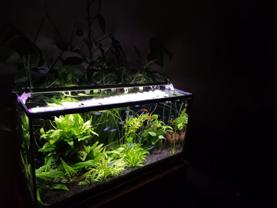 Akwarium 112l komplet + szafka