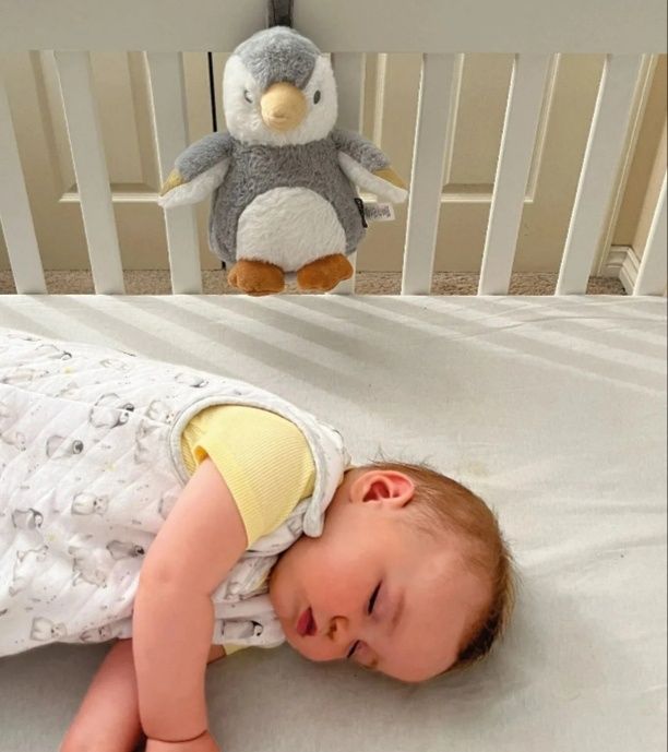Белый шум Nuby пингвин с датчиком плача