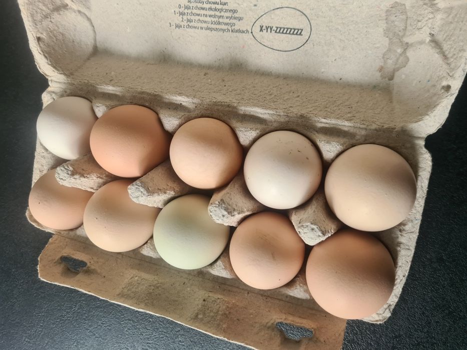 Jajka wiejskie domowe