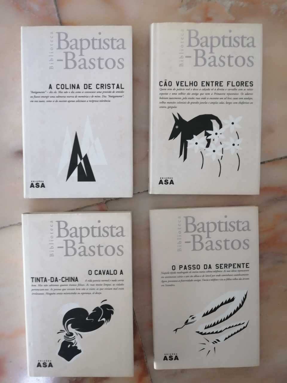 Livros Biblioteca Baptista Bastos