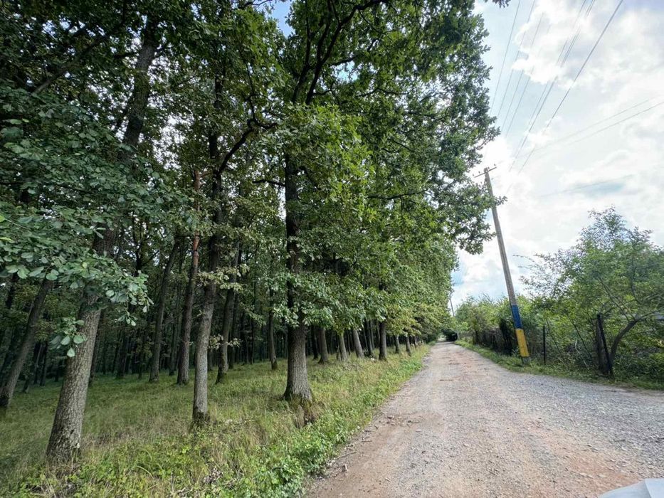 Продаж дачі,ділянка 9 соток,біля лісу,15 хв від Львова. с.Дібрівки