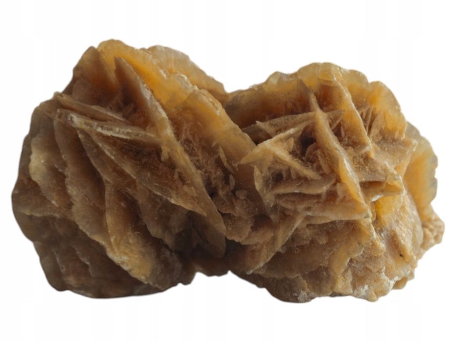 Róża Pustyni Naturalny Kryształ Selenitu Stan Bardzo Dobry