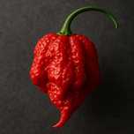 15 sementes malagueta Carolina Reaper