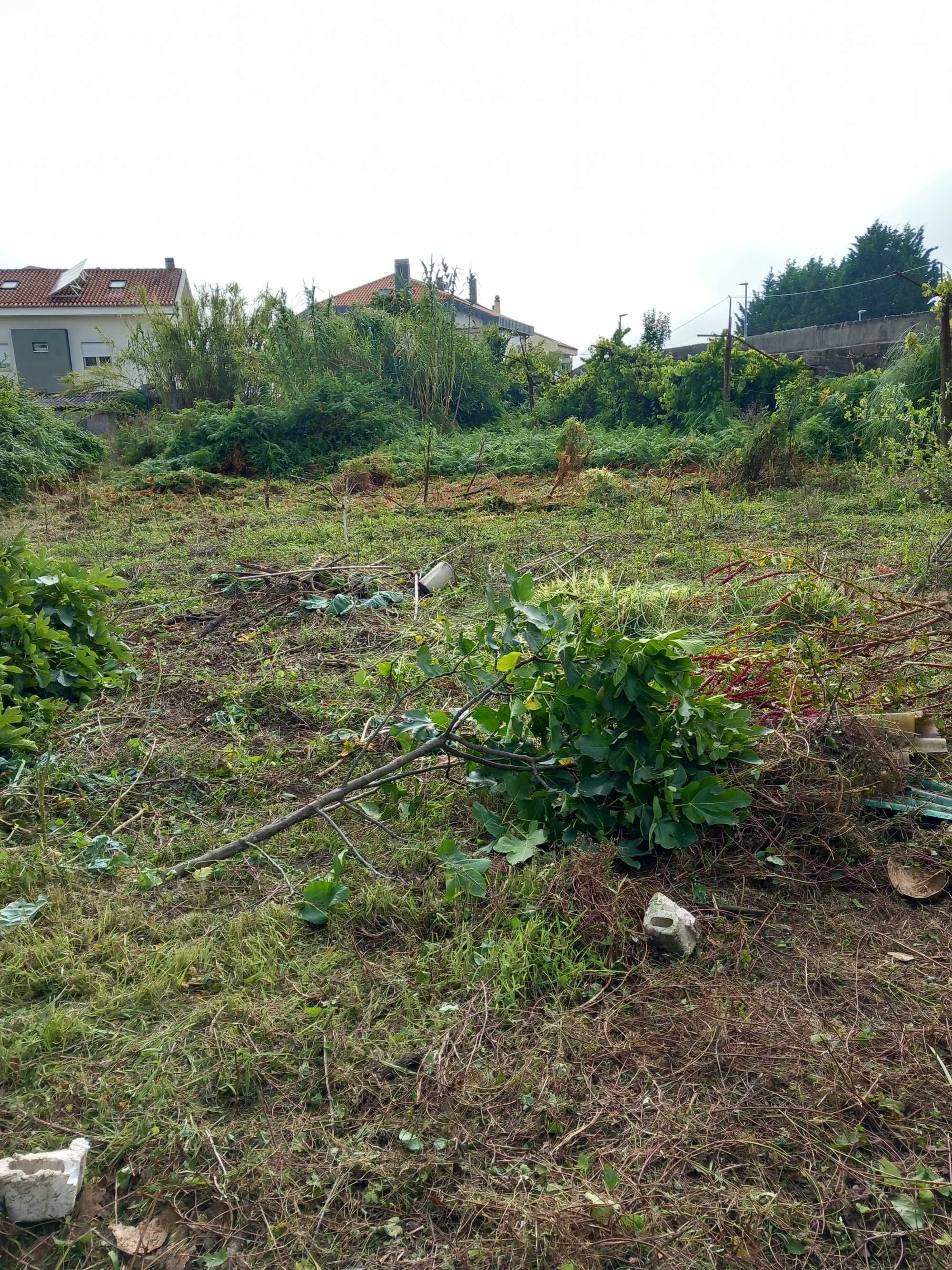 Limpeza de terrenos