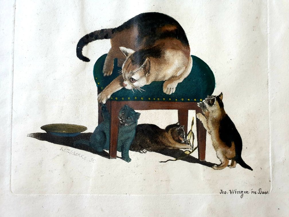 Antiga linda aguarela com gatinhos - assinado Josef Winzer