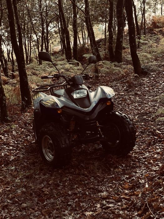 Moto Snake 50cc usada