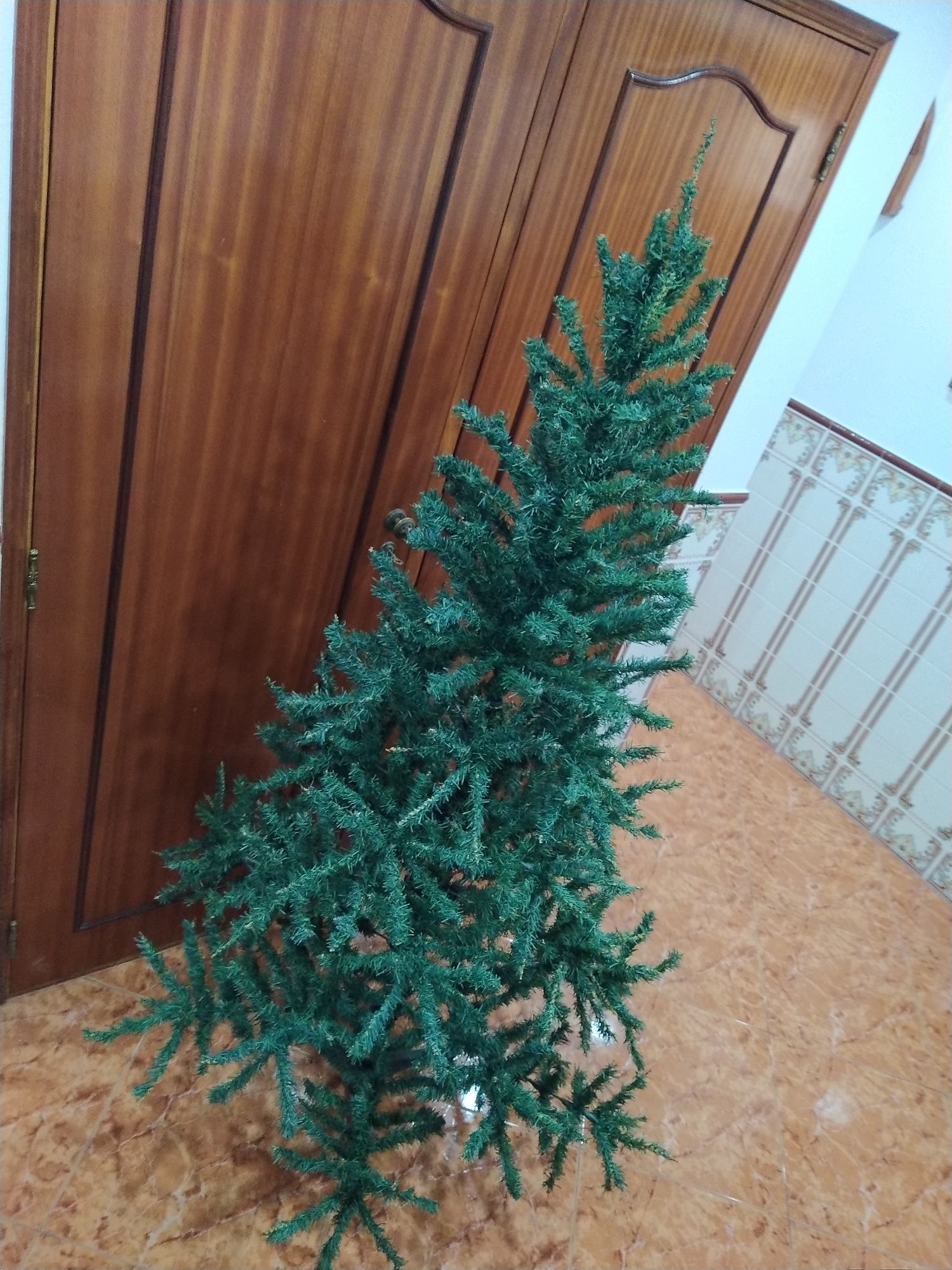 Árvore de Natal casa quarto apartamento vivenda escritório gabinete.