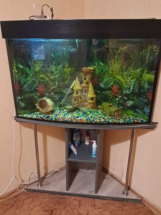 Продам аквариум угловой 170 литров  с тумбой и содержимым