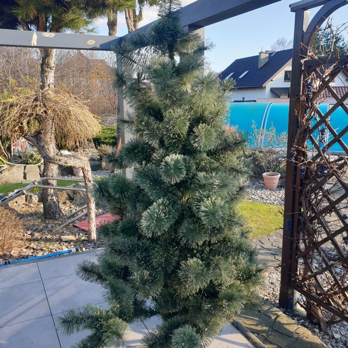 Choinkę sztuczną jodła kaukaska 220 cm - sprzedam