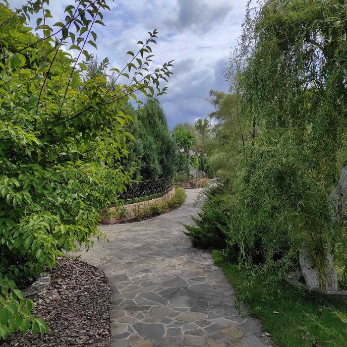 Продажа будинку на ділянці 1,5 га в Новосілках, озеро, Вишгородский