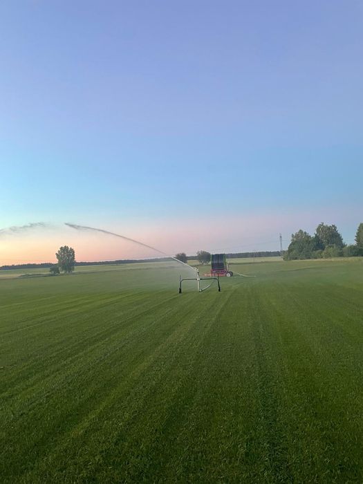 Trawa z rolki, rolka trawy, trawa rolowana, trawnik, producent