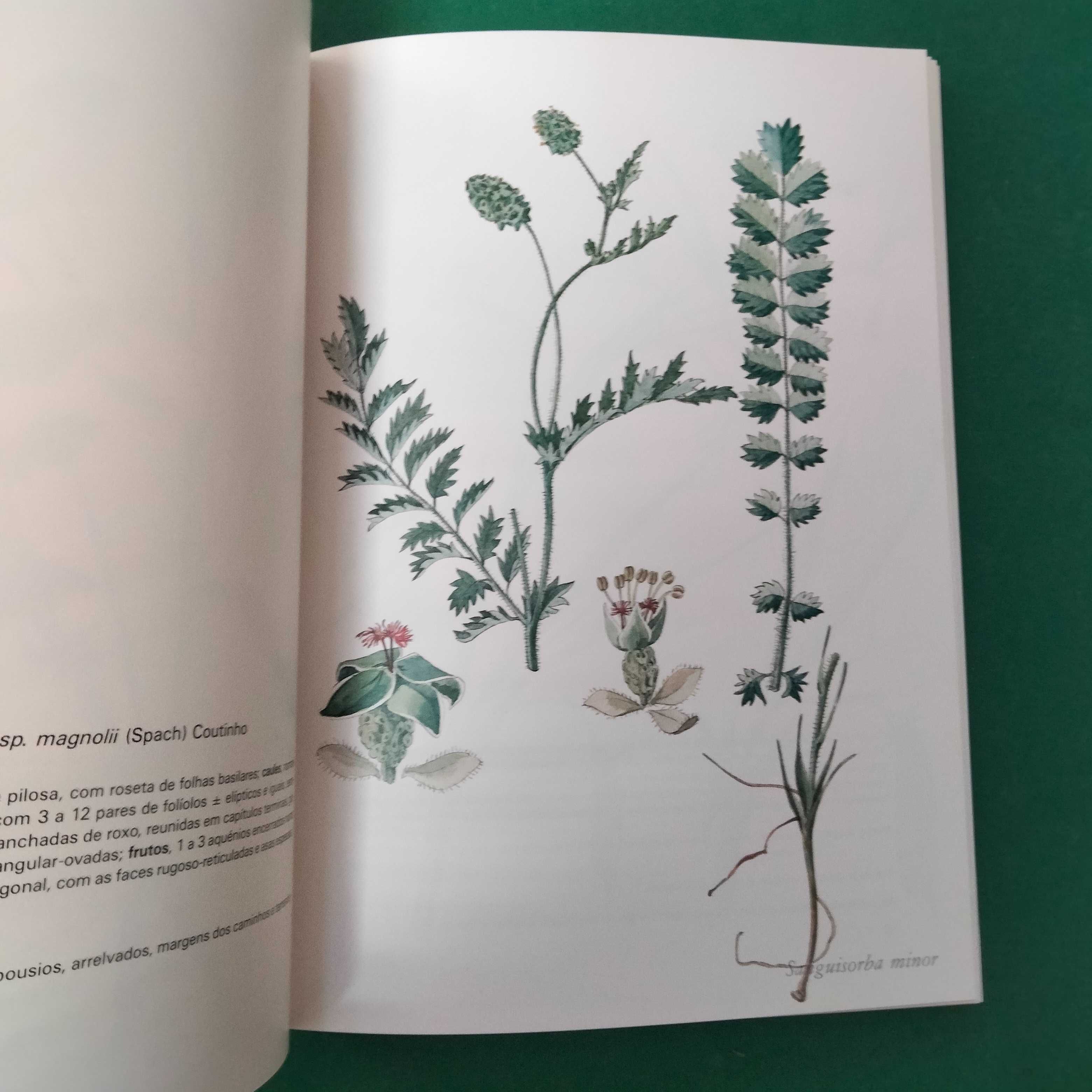 Manual Ilustrado de Espécies da Flora Portuguesa  (2 Volumes)