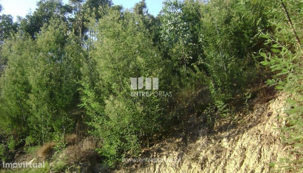 Venda Terreno, Sande, Marco de Canaveses