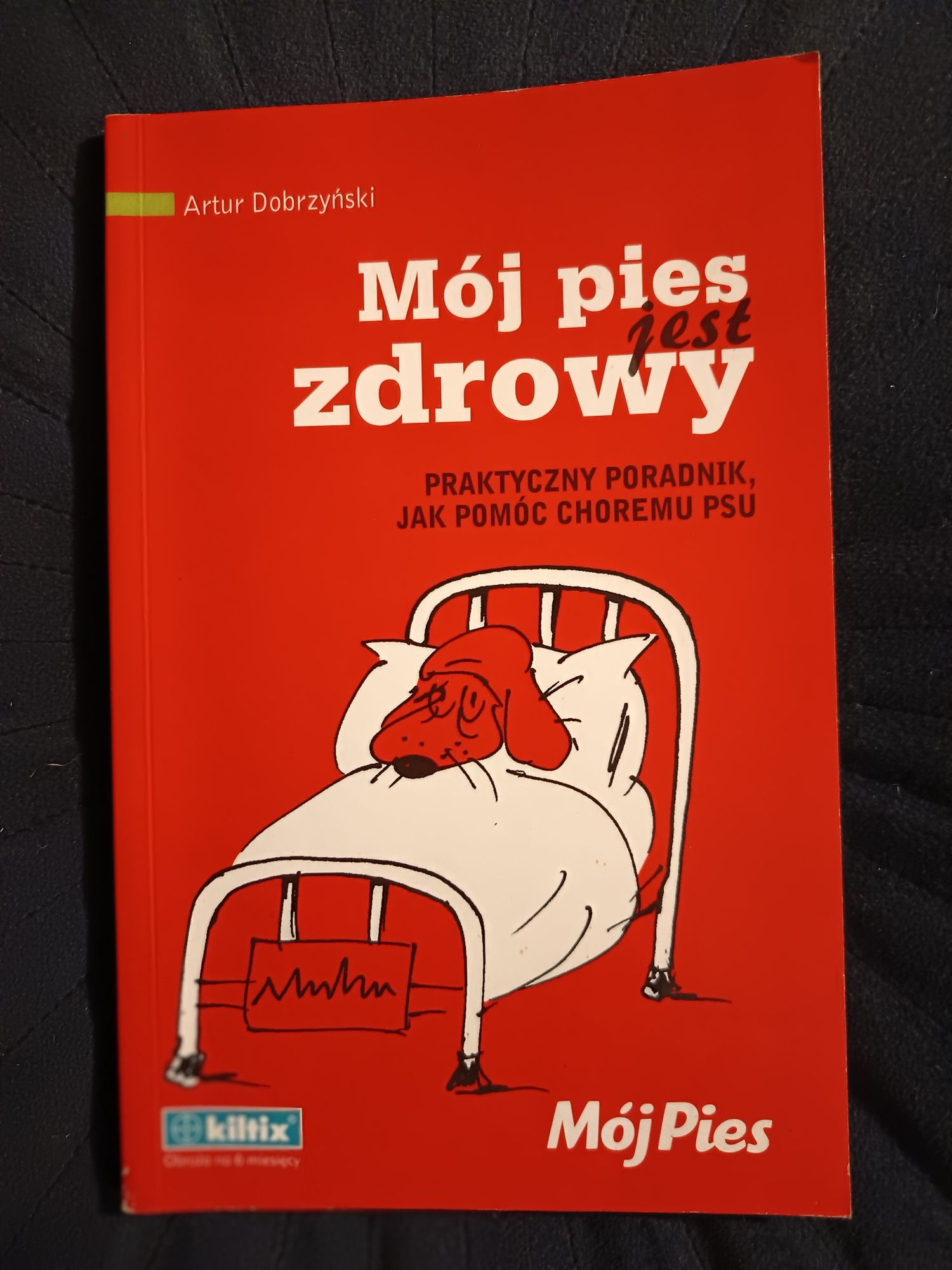 Mój pies jest zdrowy, praktyczny poradnik jak pomóc choremu psu