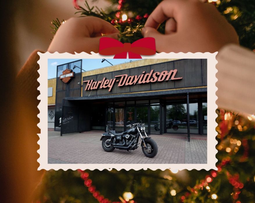 Harley-Davidson Dyna Fat Bob Twin Cam™ FXDF 103 Stage 1, ASO, IDEALNY, Świąteczna cena <3