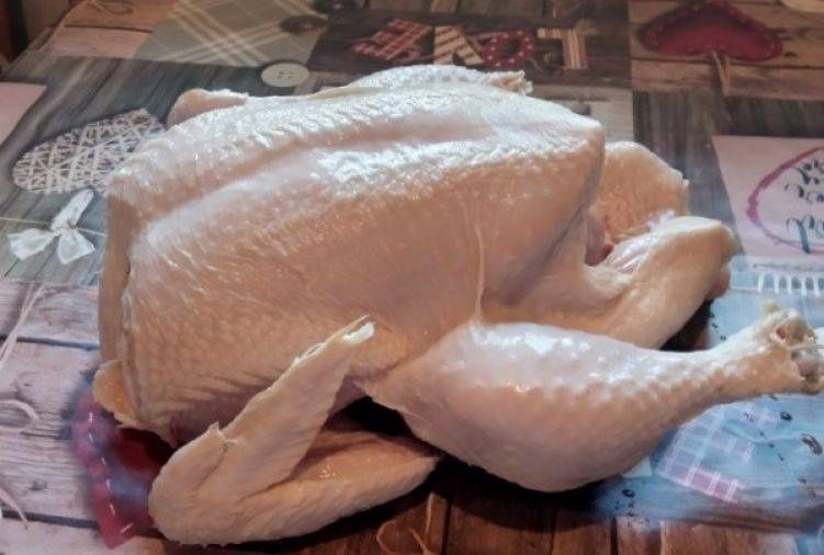 Witam sprzedam tusze z brojlera ekologicznej hodowli