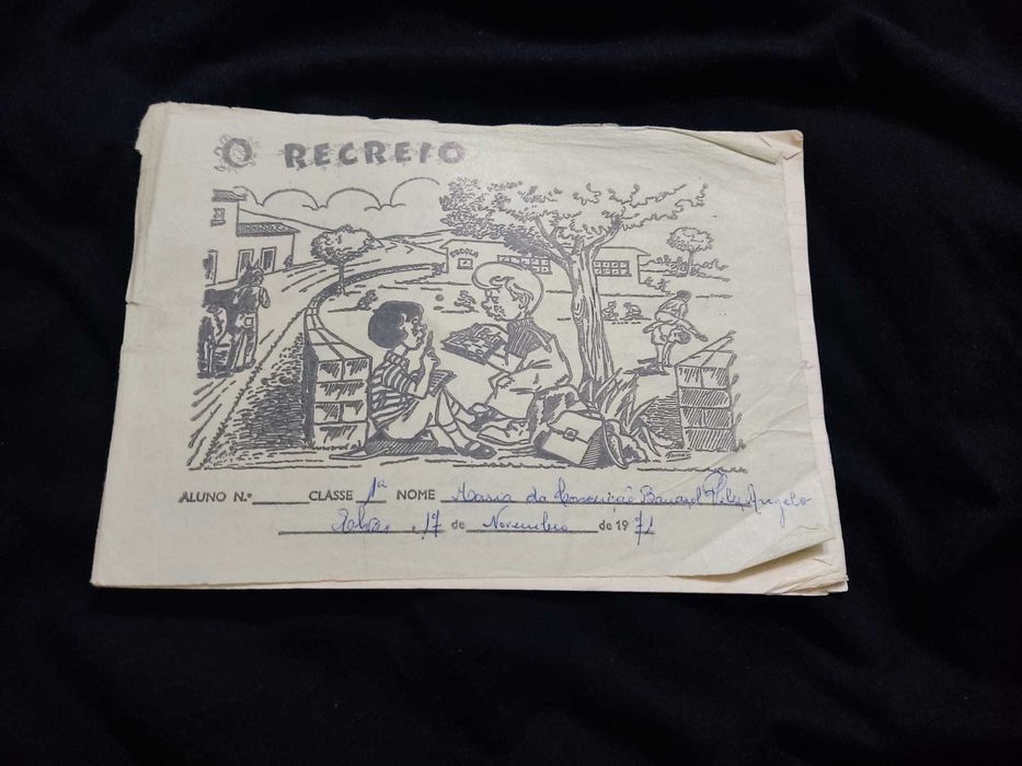 Cadernos escolares antigos