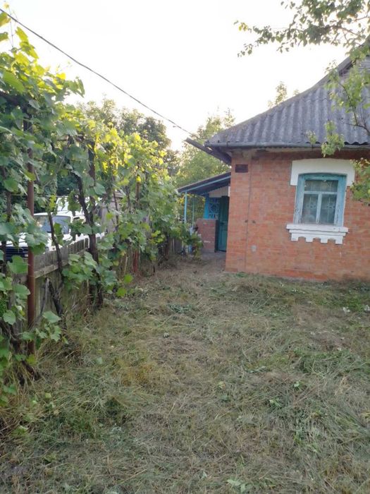 Будинок із земельною ділянкою