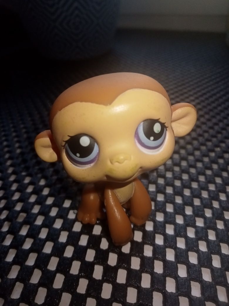 Małpka orangutan LPs Hasbro #189 Magnez