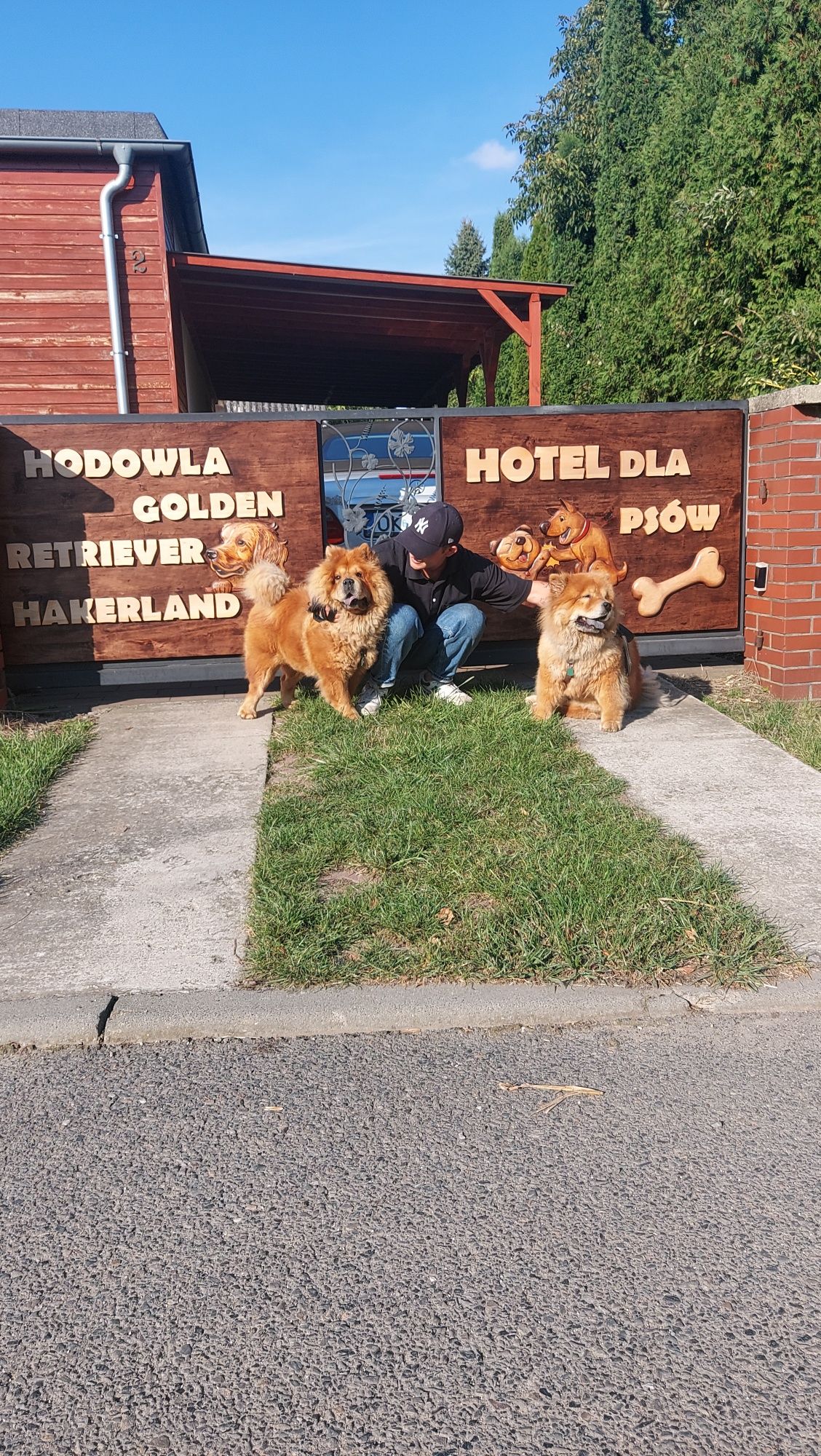 Hotel dla psów Hakerland Wodny Raj