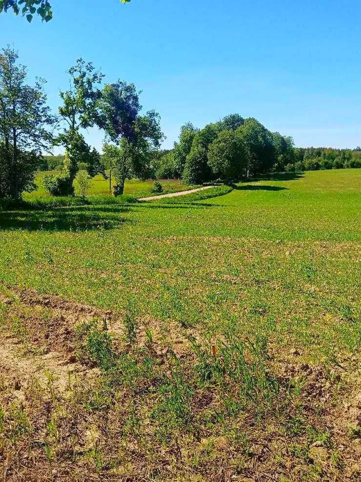 Sprzedam działki budowlane na Mazurach