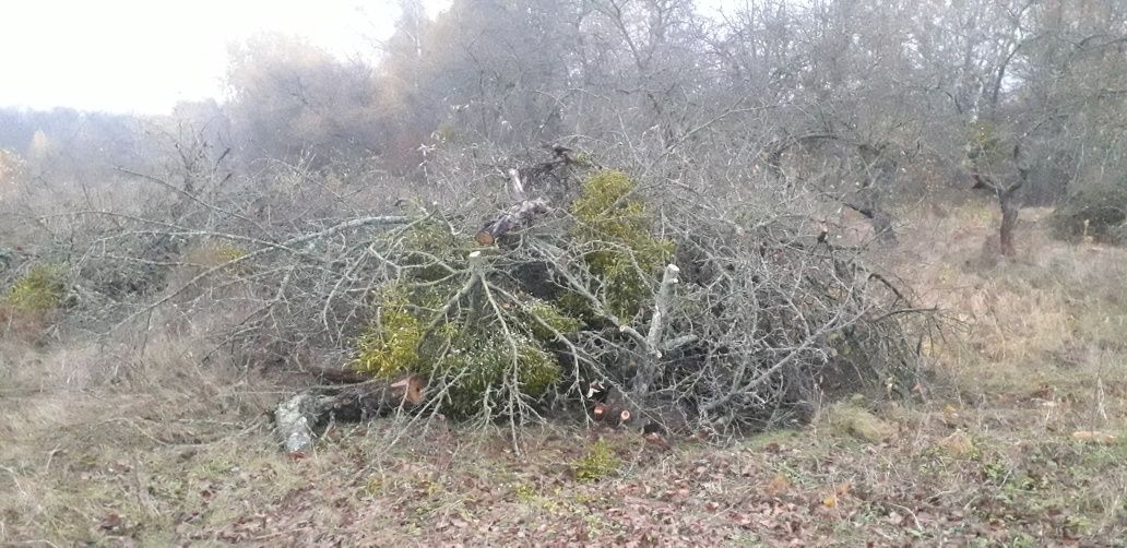 Розчистка земельних ділянок