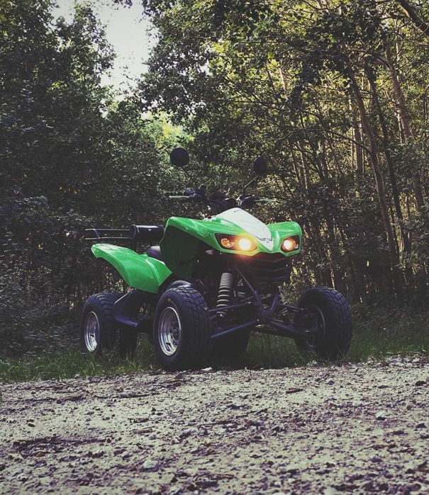 Kawasaki kfx 700