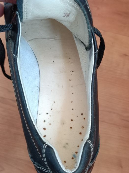 Кросівки відомого італійського бренду Tod's. Розмір 36.