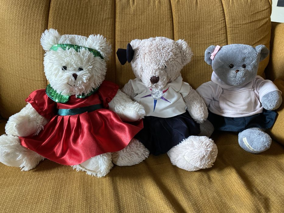 Miś TVN 2012, 2013, 2014