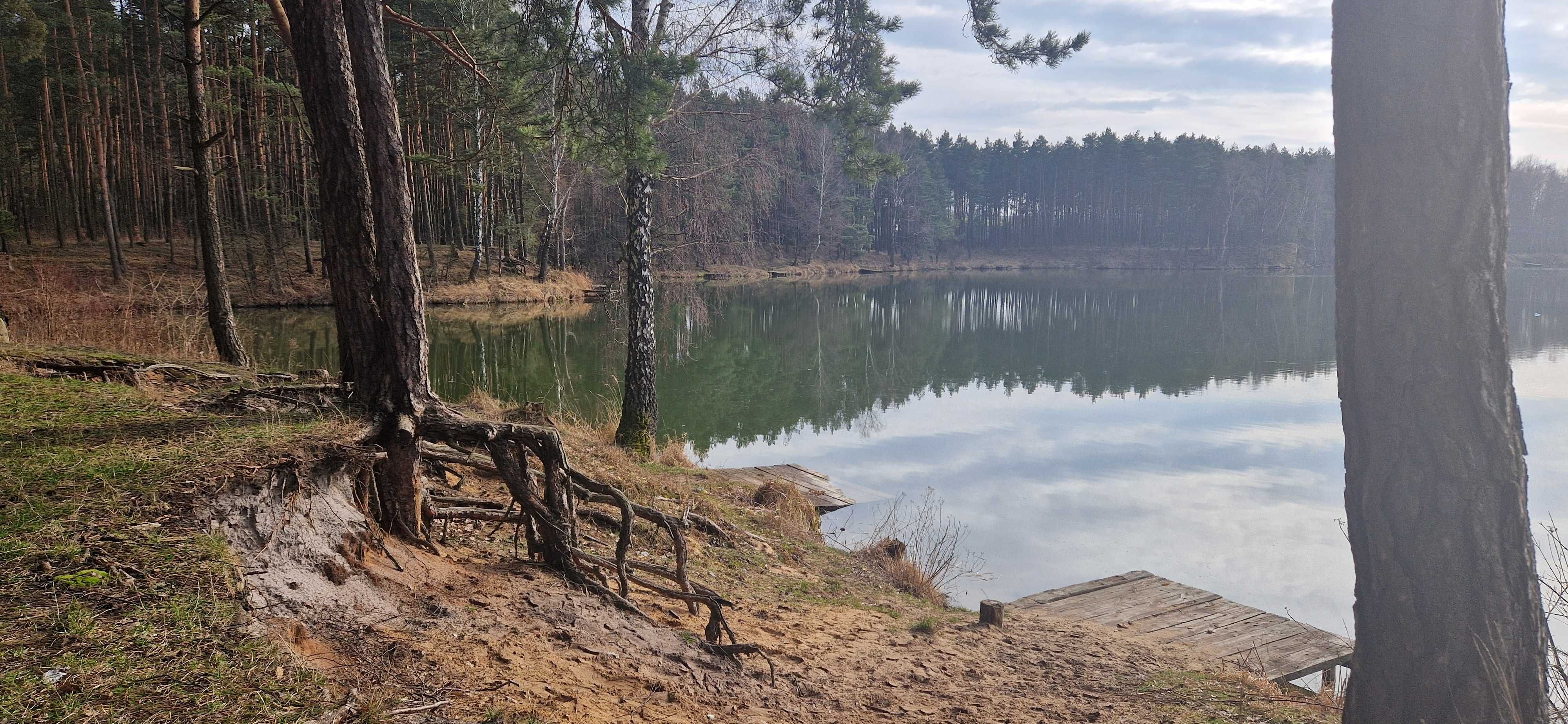 Domek na Jurze w urokliwym miejscu