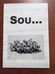 Sou... /Joaquim Pereira Veiga