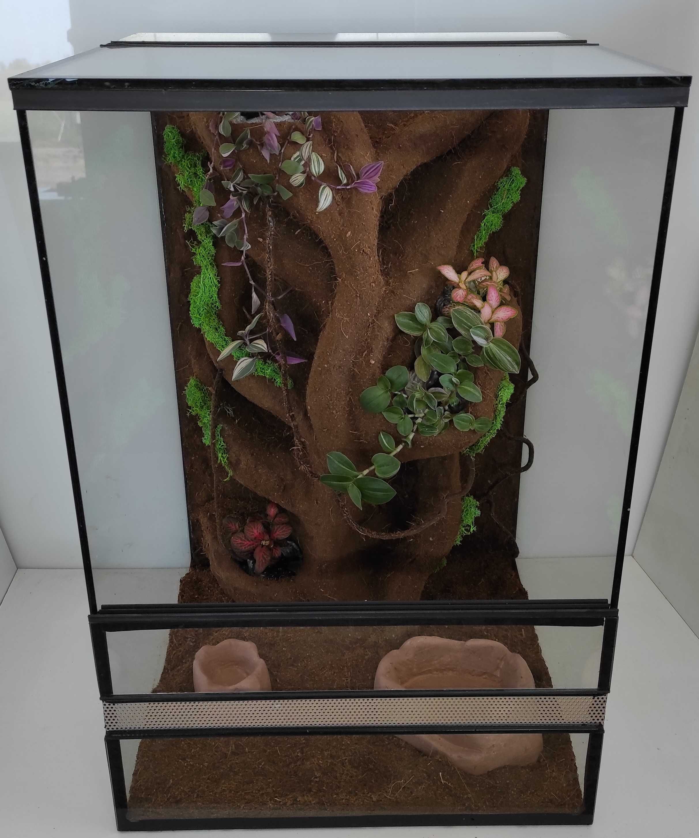 Terrarium dla gekona orzęsionego z roślinami, TW34R, AquaWaves