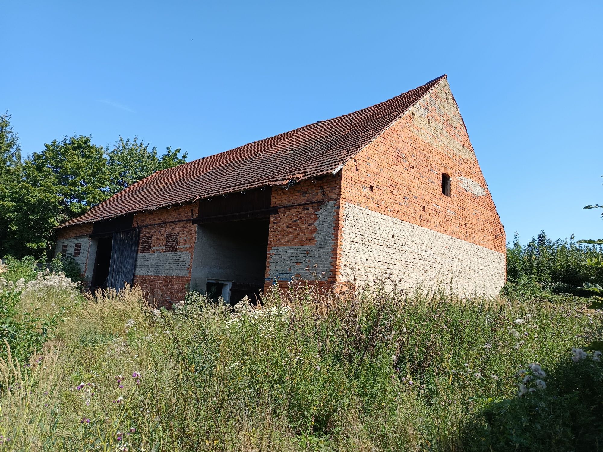 Stara stodołą ponad 100 lat