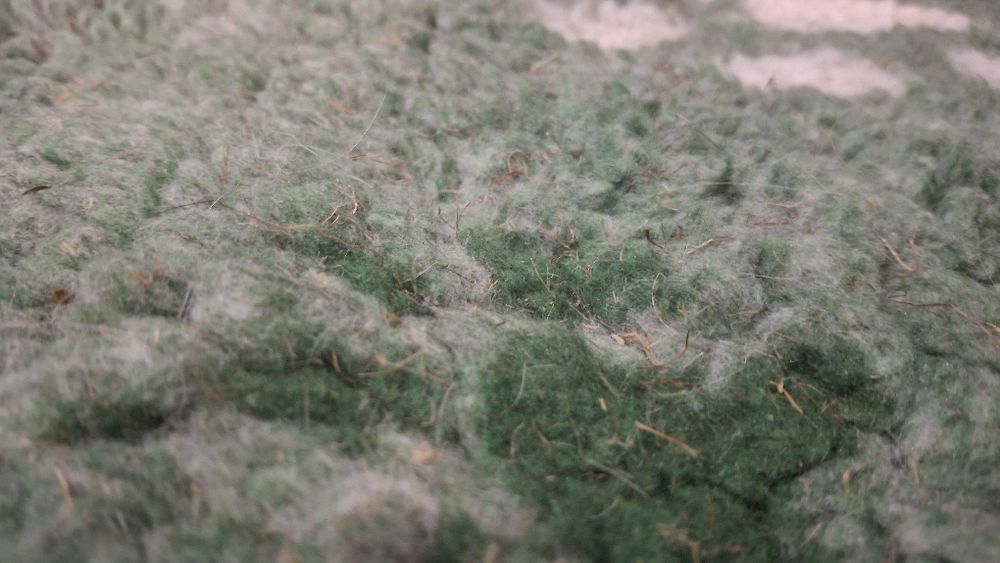 Drybed 5sztuk świnka morska/królik