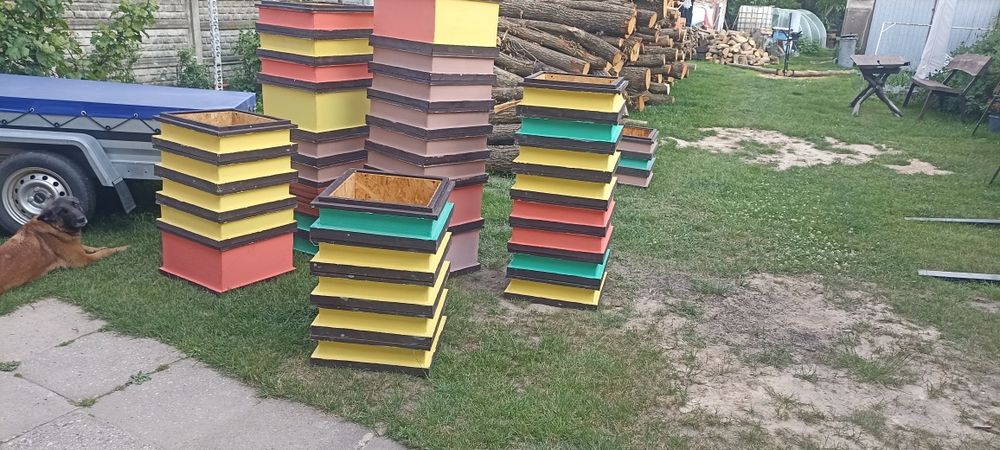 Ule wielkopolskie 10 ramkowe