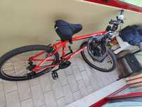 Bicicleta Eleven 21 Marchas