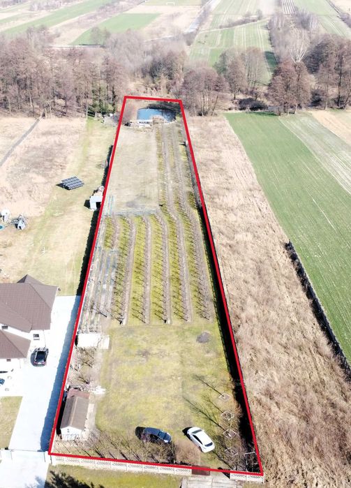 Działka rolno-budowlana 6600m2, gmina Skierniewice, Mokra